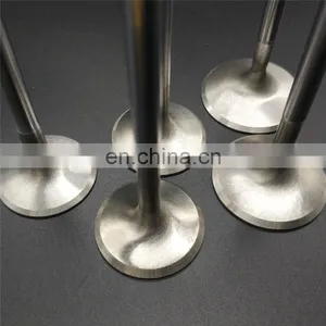 For Honda eh E07a Eca1 E05a E07a E07z S07a P07a Forged Titanium Engine Valves With Manufacturer Price thumbnail-5