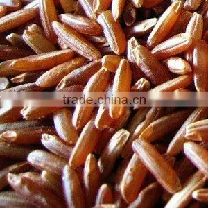 Red Rice thumbnail-1