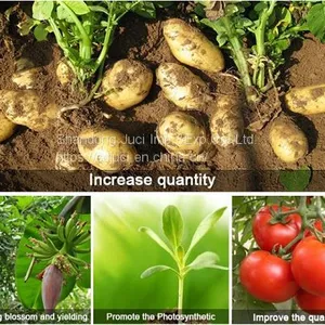 Organic Water Soluble Fertilizer Corn Steep Liquor Powder for Liquid Organic Fertilizer Corn Steep Powder thumbnail-3