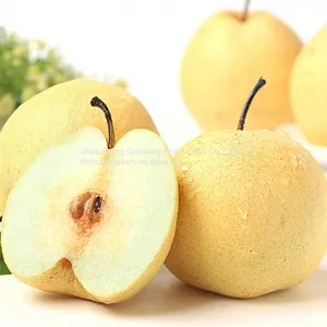 Snow Pear thumbnail-1