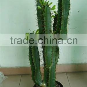 Artificial Green Plants/artificial Indoor Cactus/artificial Potted Cactus/artificial Cactus Plant thumbnail-1