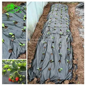Anti Weed Plastic Mulch Film Agricultural Black Plastic Ground Cover thumbnail-2
