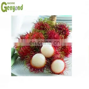 Electric Rambutan Peeling Machine thumbnail-1