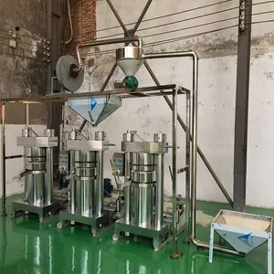 Factory Direct Sales of New Automatic Commercial Soybean & Walnut Oil Press and Sunflower Seed Oil Press for Agricultural Crops thumbnail-4