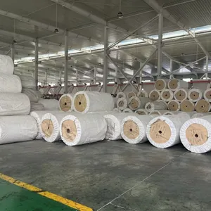 High-Quality Polypropylene FIBC Fabric Roll for Bulk Jumbo Bags at Competitive Price thumbnail-1