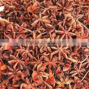Star Anise From Orient Vietnam thumbnail-1