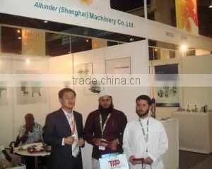 Allunder (Shanghai) Machinery Industry Co., Ltd. company overview - view 3 thumbnail