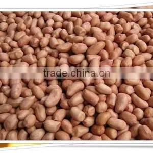 Raw Peanuts Kernel thumbnail-2