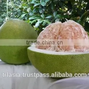 Pomelo thumbnail-2