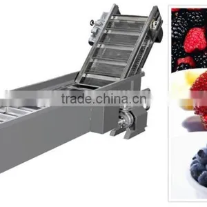 3 Ton LXJ-3 Model Showering (water Bath) Type Berry Fruit Washer(Industrial Berry Fruits Washer) thumbnail-1