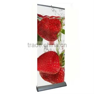 Outdoor Indoor Roll Up Screen Manufacturer thumbnail-1