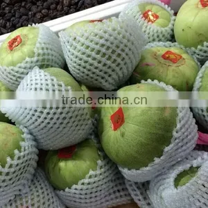 High Quality Soft Foam Net, Strawberry Net Wrappers, PE Foam Flower Bud Protective Netting thumbnail-3