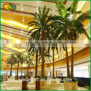 Artificial Mini Coconut Palm Tree for Decoration thumbnail-6