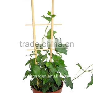 Bamboo Trellis - Bamboo Plant Support thumbnail-1