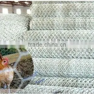 10*10electro Galvanized Hexagonal Wire Mesh Factory thumbnail-6