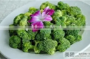 Frozen Broccoli Florets High Quality Green and Healthy thumbnail-3