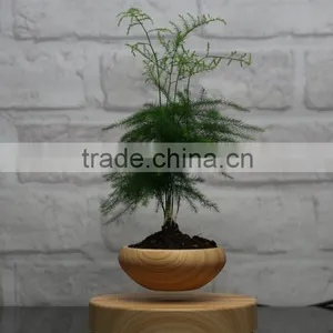 Electric Mini Air Levitating Plant Pots thumbnail-5