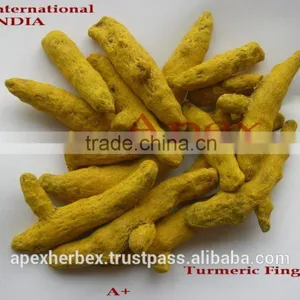 Turmeric Fingers Whole Spice / Turmeric / Curcuma Longa Fingers thumbnail-5