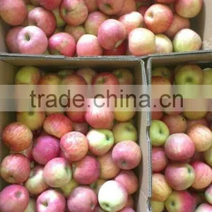 Paper Bagged Qinguan Apple thumbnail-2