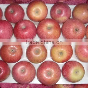 Fresh Qinguan Apple thumbnail-6