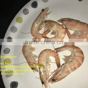 High Quality HOSO Vannamei,Shrimp Vannamei From India thumbnail-1