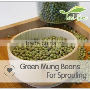 High Quality Green Mung Bean Sprout,grade a Green Mung Bean Price thumbnail-4