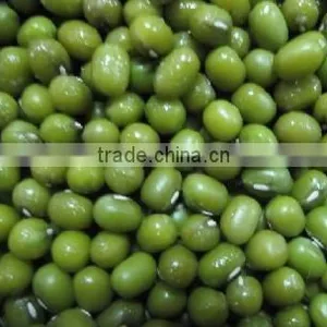 High Quality Viet Nam Green Mung Bean Viet Nam With Best Price Ever thumbnail-1