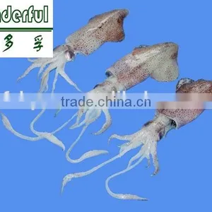 Squid Powder, Squid Liver Powder, Shrimp/fish Feed With High Protein thumbnail-4
