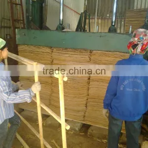 EUCALYPTUS/ACACIA CORE VENEER TYPE OF SHORT CORE VENEER thumbnail-3