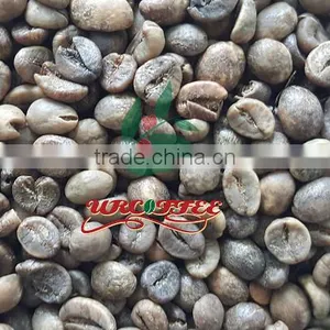 Vietnam Raw Robusta Coffee Bean thumbnail-1