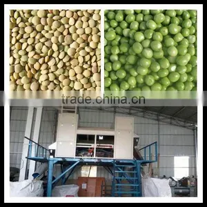256 Channels CCD Green Bean Color Sorter With Computer System 0086 371 65866393 thumbnail-1