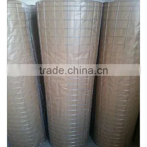 Square Hole Shape 1/4 Inch Galvanized Welded Wire Mesh for Sale thumbnail-1