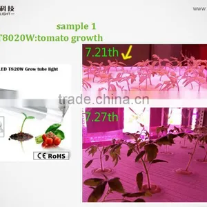 the Best Grow Light for Tomatoes,vanq Integrated Seed Lights,CE,RoHS Approved thumbnail-2