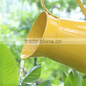 Cheap Custom 11cm Watertight Galvalnized Metal Outdoor Decorative Watering Cans thumbnail-4