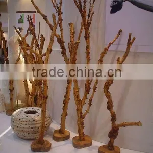 Tree Branch thumbnail-1