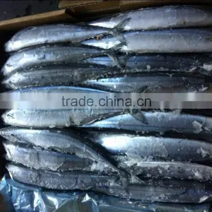 Frozen Pacific Saury #3 and Big Size thumbnail-1