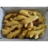 Ginger Suppliers thumbnail-1
