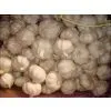 5cm Fresh White Garlic thumbnail-2