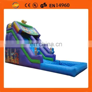 Big Inflatable Water Slide,inflatable Slide With Pool thumbnail-1