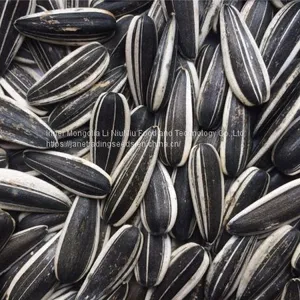 Sunflower Seeds thumbnail-3