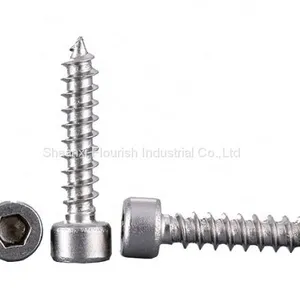 Allen Cap Hex Head Metal Self Tapping Screw thumbnail-1