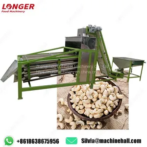 High Quality Cashew Nut Size Sorting Machine in India thumbnail-1