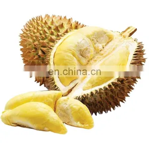 Premium Durian From The Nature Of Vietnam thumbnail-1