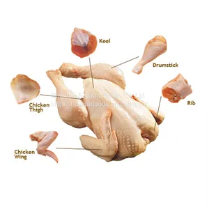 Chicken thumbnail-1