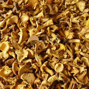 Dehydrated Wild Dried Chanterelles Mushroom Cantharellus Cibarius thumbnail-1