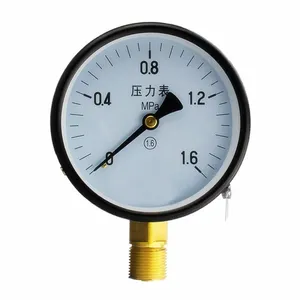 Pressure Gauges 304 thumbnail-3