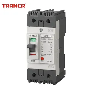 TRMF1-63 Thermal Magnetic Circuit Breaker 2P 10A 20A 30A 40A 50A 63A Main Switch thumbnail-1