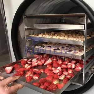 Industrial Vacuum Coffee Milk Honey Freeze-drying Machine Soup Freeze Drying Machine EPC thumbnail-5