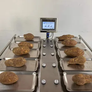 Manual 12 Heads 14 Heads Weighing Scale for Banana Apple Mango Fruit thumbnail-4