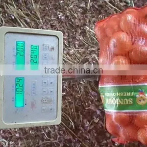 2015 Crop Fresh Yellow Onion Supplier From China thumbnail-1
